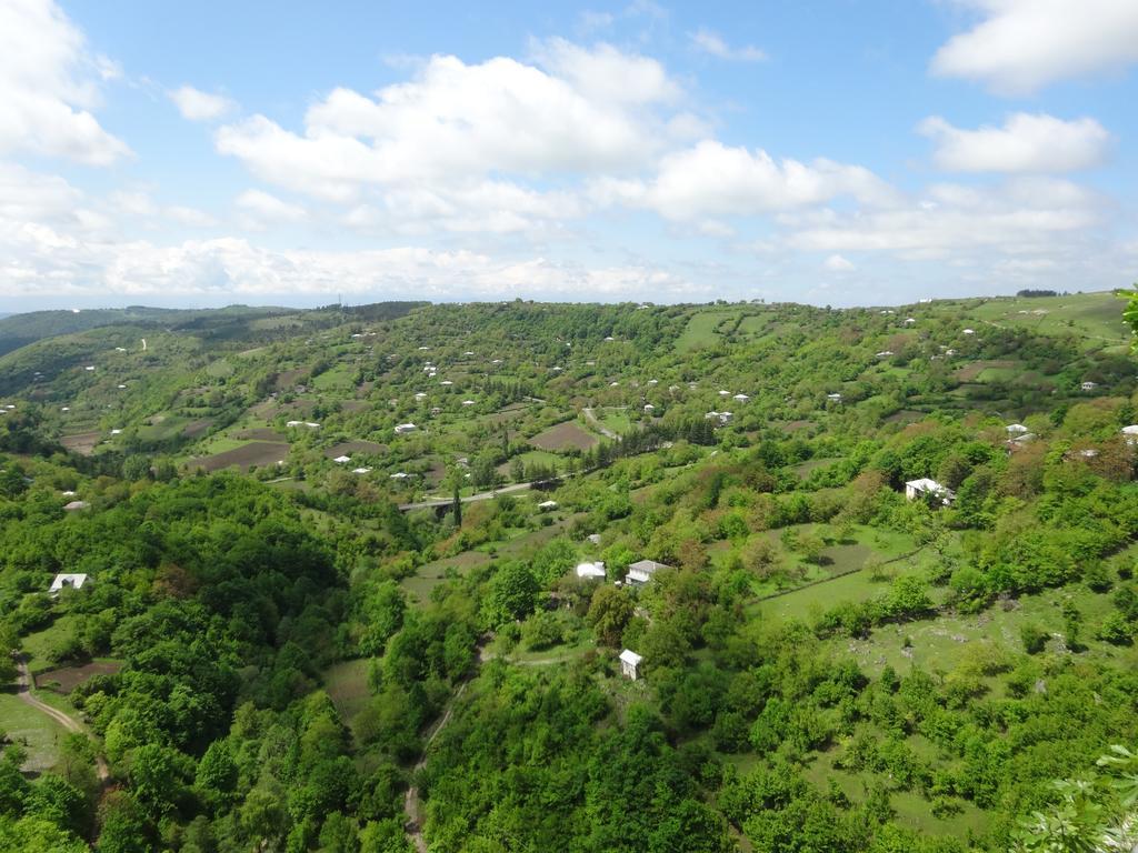 Giorgi'S Homestay Кутаиси Екстериор снимка